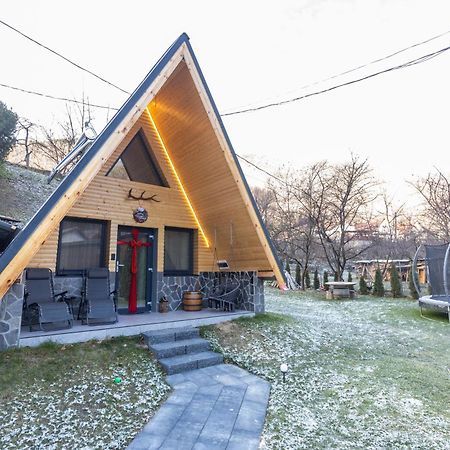 Pensiunea Casa Iulia A-Frame Martinie Esterno foto